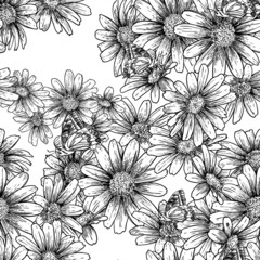 Vintage seamless monochrome pattern with daisies