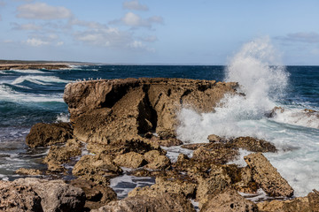 The North Coast of Curacao