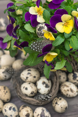 pansy flowers and quail eggs