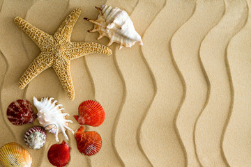 Fototapeta na wymiar Rozgwiazdy i morskie muszle na piasku plaży Falista