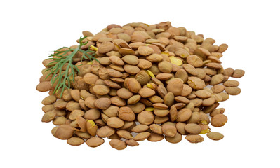 Raw lentils