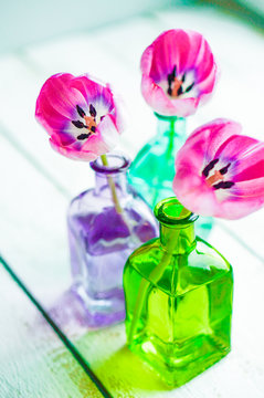 Pink tulips in colorful vases on white background