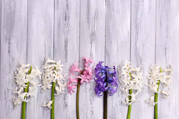 Beautiful hyacinths on color wooden background