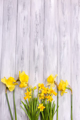 Beautiful flowers on color wooden background
