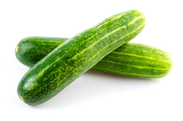Cucumber