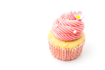Vanilla cupcakes isolated white background