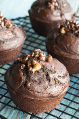 Chocolate Muffin