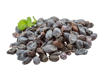 Fototapeta premium Dry Berberis