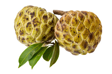 Annona