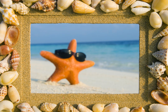 Sea Shell Sand Frame And A Starfish