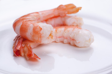 tiger shrimps