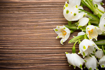 Snowdrop.