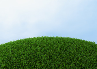 Green hill of grass