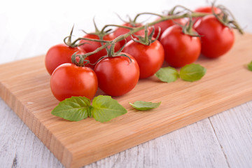 tomato on board