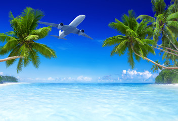 Airplane Flying Over Tropical Beach