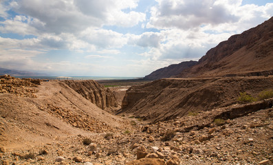 Negev Desert - Israel