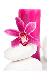 Spa decoration with purple orchid, candle and spa stones