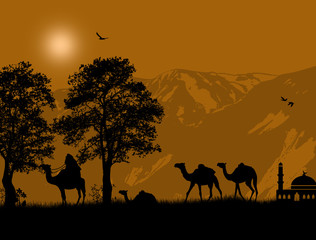 Fototapeta na wymiar Bedouin riding camel