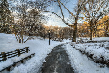 Naklejka premium Central Park after snow storm