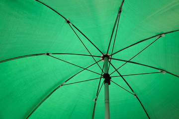 inside green umbrella