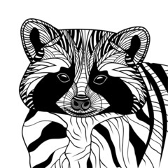 Racoon or coon head vector animal illustration