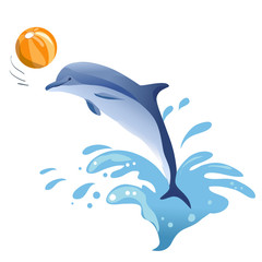 Dolphin with ball isolated