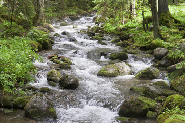 Small creek horizontal