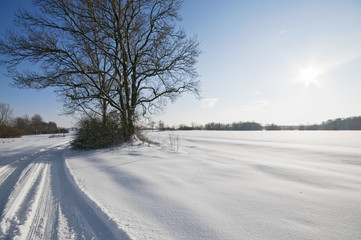 Obraz premium Wintry landscape with sun
