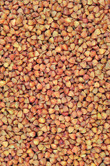 Raw buckwheat groats background, dry cereal seeds, large vertica