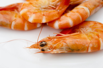 Shrimps close up
