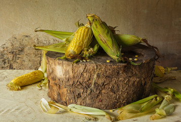 Still life with corn