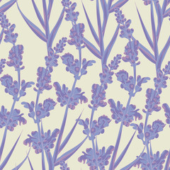 Lavender seamless pattern. - 63291579