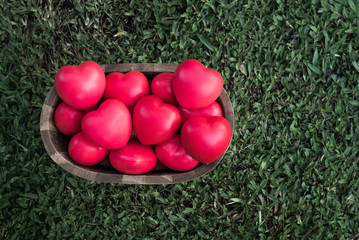 Only heart can be colour