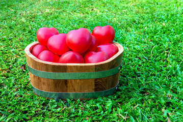 Many Red Heart in Bucket on green grass