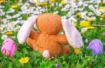 Rabbit puppet and easter eggs on meadow