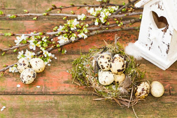 Vogelnest mit Wachteleiern auf Holz mit Vogelhaus