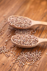 buckwheat