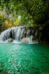 Fototapeta premium waterfall in Kanjanaburi Thailand