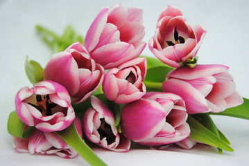 Mooie roze tulpen voor moederdag © trinetuzun