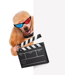 Movie clapper board director dog.