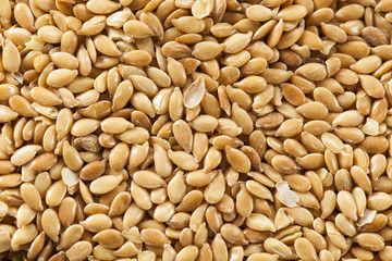 Organic Raw Flax Seeds
