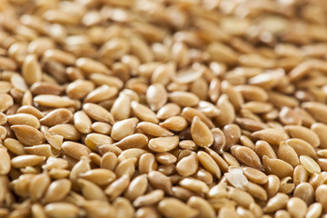 Organic Raw Flax Seeds