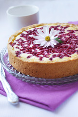Pie with cottage cheese and redcurrant