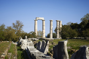 Samothrace, the sanctuary of the Great Gods
