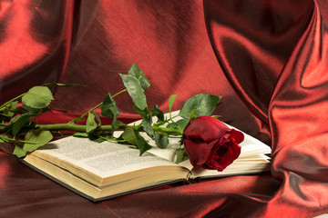 red rose lies on the open book