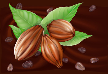 cocoa fruit on a chocolate background