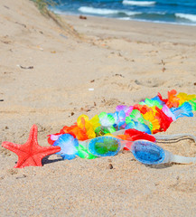 goggles, necklace and starfish