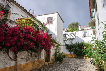 Fototapeta na wymiar Średniowieczna architektura w tradycyjnym portugalskim mieście Obidos