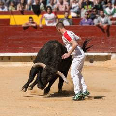 Concurso De Recortes A Toros De Lidia