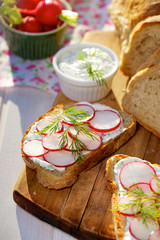 Radish sandwiches with creamy cheese and fresh dill